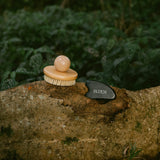 REBIRTH & RENEW FACE & BODY DUO