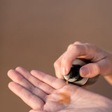 REPLENISH - Plumping and Radiance Serum