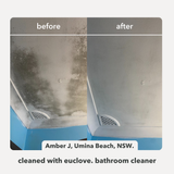 Switch to Non-Toxic Cleaning Products (300 Ml)