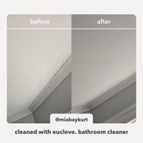 Bathroom & Mould Cleaner + Refill