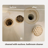 Bathroom & Mould Cleaner with Clove Oil