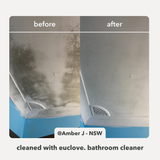 Bathroom & Mould Cleaner + Refill