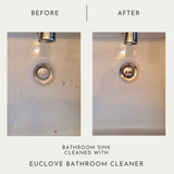 Bathroom & Mould Cleaner with Clove Oil
