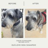 Natural Dog Shampoo - Salon Grade Formulation