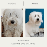 Natural Dog Shampoo - Salon Grade Formulation