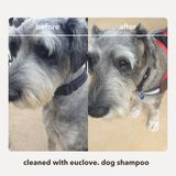 Natural Dog Shampoo - Salon Grade Formulation