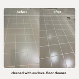 Floor Cleaner
