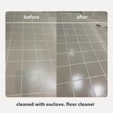 Floor Cleaner