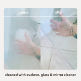 Glass & Mirror Cleaner