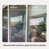 Glass & Mirror Cleaner
