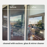 Glass & Mirror Cleaner
