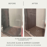 Glass & Mirror Cleaner