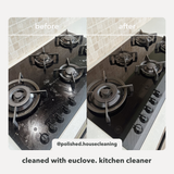 Switch to Non-Toxic Cleaning Products (300 Ml)