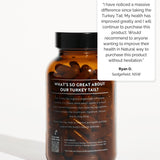 Turkey Tail Mushroom - Australian Grown