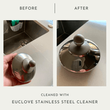 Stainless Steel Cleaner