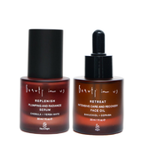 The Overnight Repair Duo