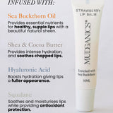 Luxury Lip Balm