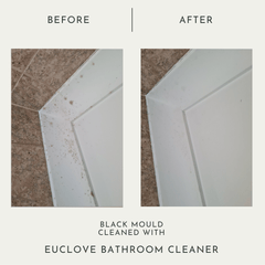 Bathroom & Mould Cleaner with Clove Oil