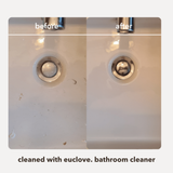 Bathroom & Mould Cleaner + Refill
