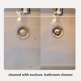 Bathroom & Mould Cleaner + Refill