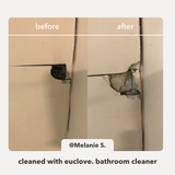 Bathroom & Mould Cleaner + Refill