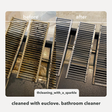 Bathroom & Mould Cleaner with Clove Oil