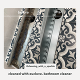 Bathroom & Mould Cleaner with Clove Oil