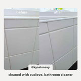 Bathroom & Mould Cleaner 5 Litre Refill & Value Pack