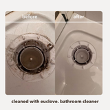 Bathroom & Mould Cleaner + Refill