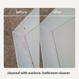 Bathroom & Mould Cleaner 5 Litre Refill & Value Pack