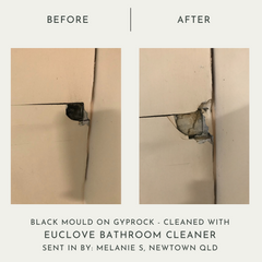 Bathroom & Mould Cleaner + Refill