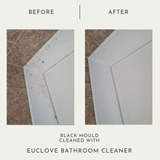 The Ultimate Natural Cleaning Pack