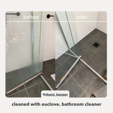 Bathroom & Mould Cleaner with Clove Oil