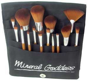 15 Piece Brush Set in Pro Brush Belt