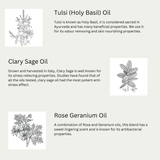 Natural Dog Shampoo - Salon Grade Formulation