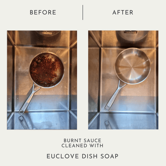 Dish Soap (Manual and Dishwasher)