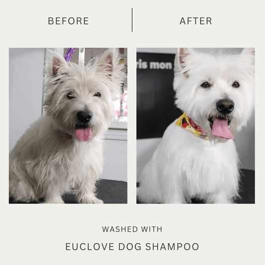 Natural Dog Shampoo - Salon Grade Formulation