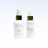 THE CACTUS ROUTINE