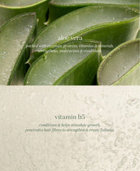 ALOE GEL LASH & BROW MASCARA