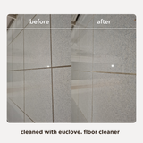 Floor Cleaner