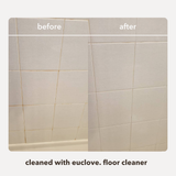 Floor Cleaner