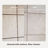 Floor Cleaner