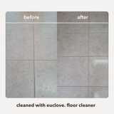 Floor Cleaner