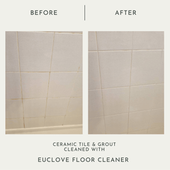 Floor Cleaner
