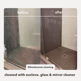Glass & Mirror Cleaner