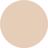 Skin Tint Serum Foundation Light