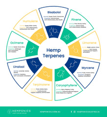 HEMP SEED OIL (90 Capsules)