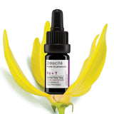DEEP WRINKLES ~ Ro+Y Serum Concentrate. Rosehip+Ylang-Ylang