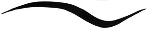 Xtreme Runway Liquid Eye Liner