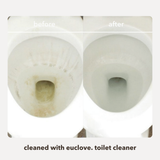 Toilet, Bath & Sink Cleaner